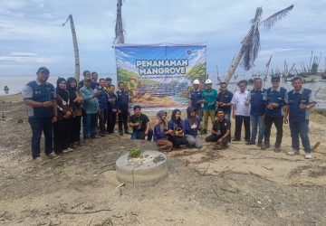 PT PSP dan PEJUANG Tanam Seribu Bibit Mangrove.